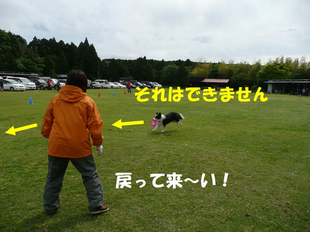 c0147241_2242661.jpg