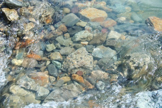e0126350_2324875.jpg