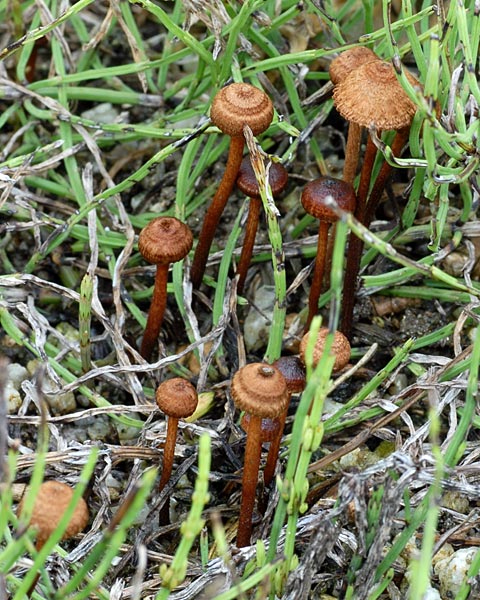 e0035757_23203133.jpg