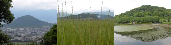 e0035757_2321152.jpg