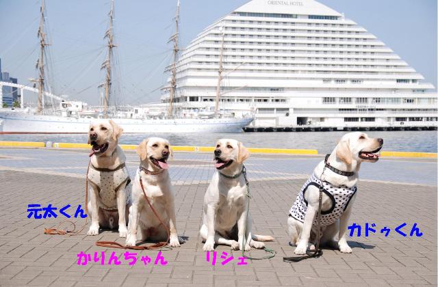 d0091700_23241544.jpg