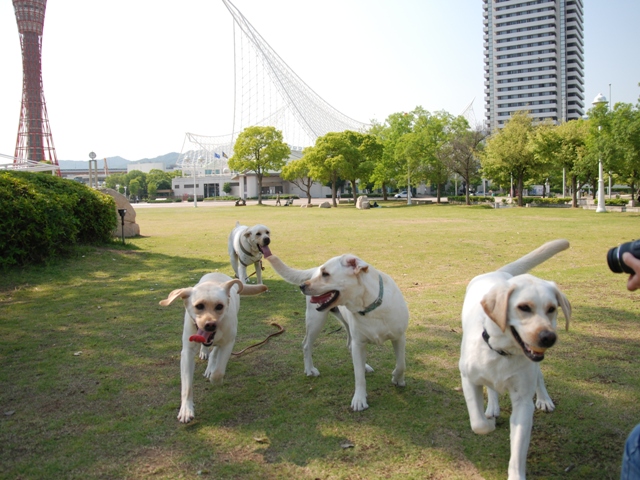d0091700_23263916.jpg
