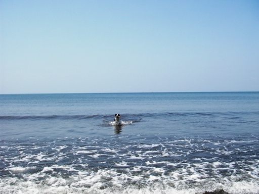 f0034602_2154554.jpg