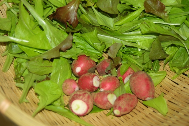 c0062603_9573670.jpg