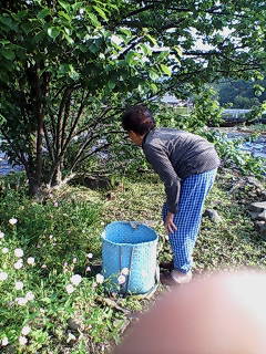 f0159503_11442380.jpg