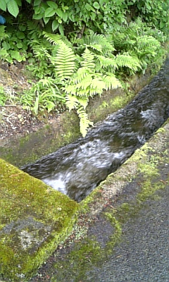 石油高騰_d0005807_84349.jpg