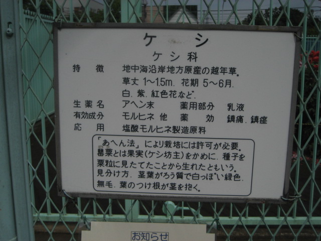 東京都薬用植物園@小平市_b0042308_23495370.jpg