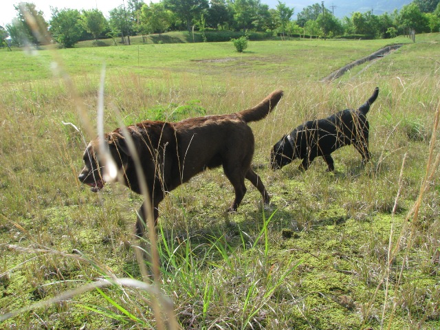 d0081210_7252862.jpg