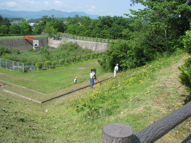 d0081210_730123.jpg