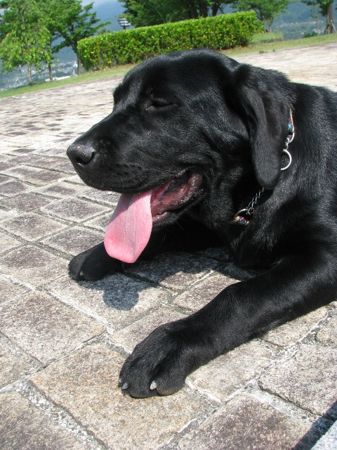 d0081210_732228.jpg