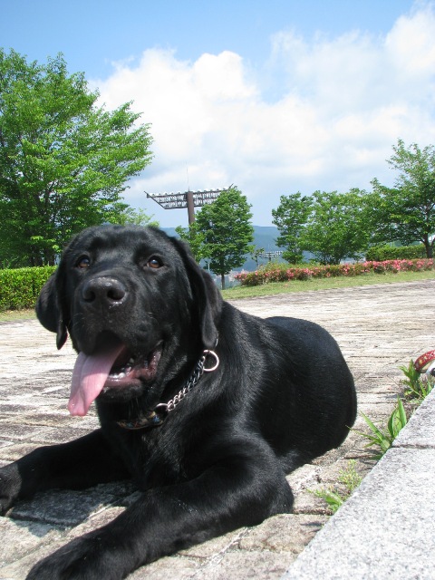 d0081210_733815.jpg