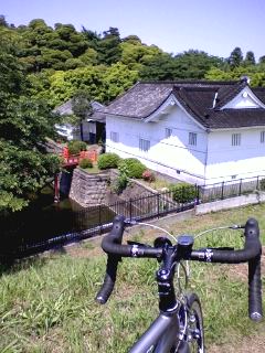 c0034615_1893046.jpg