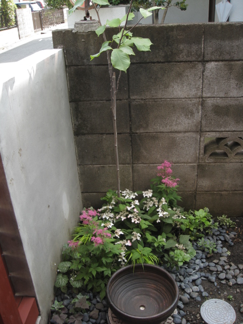 K邸_c0102228_72719100.jpg