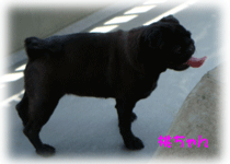 b0078030_23392586.gif