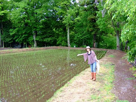 多留姫の滝　長野_a0018237_22444412.jpg