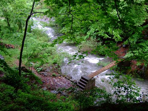 a0018237_2257977.jpg