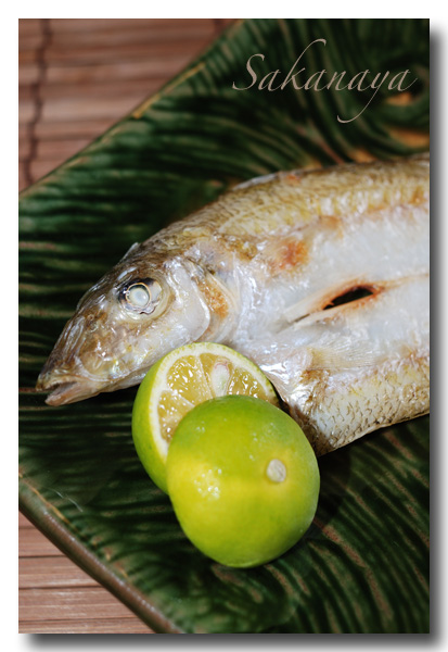 自家製キスの干物 低カロリーな魚 鱚を使って作りました 魚屋三代目日記
