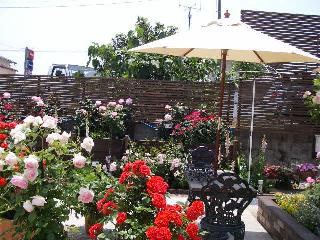 c0134645_23531911.jpg