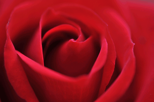 c0093046_7383355.gif