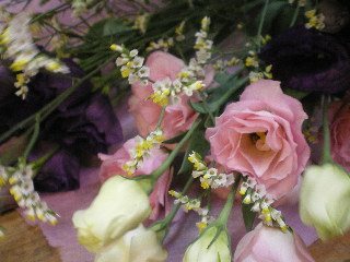 c0118352_003153.jpg