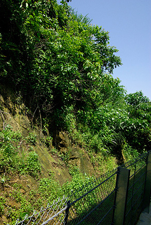 b0087456_111546.jpg