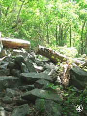 c0097856_02532.jpg