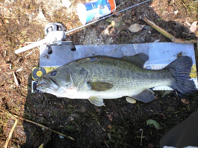 c0127358_21404111.jpg