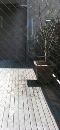d0037159_1684758.jpg