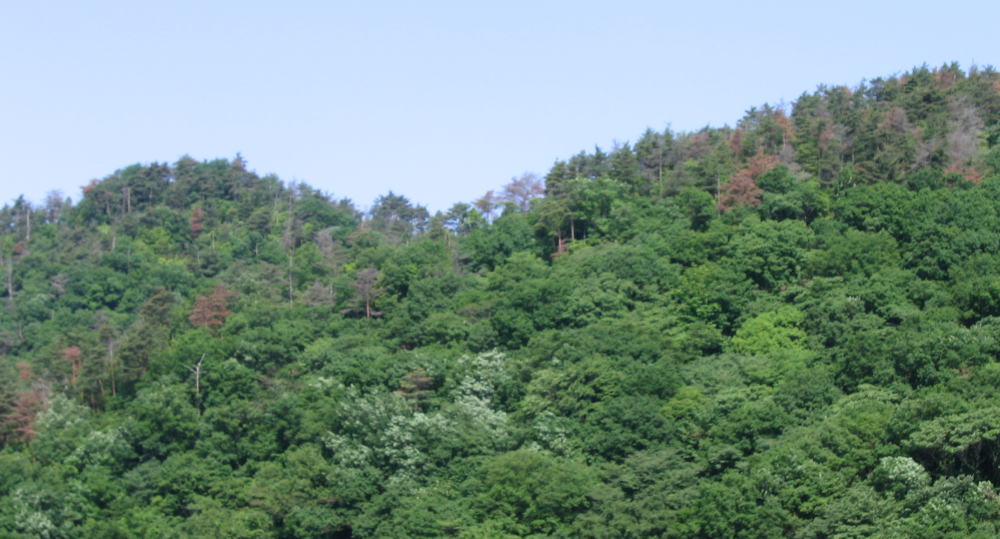 b0129962_17264661.jpg