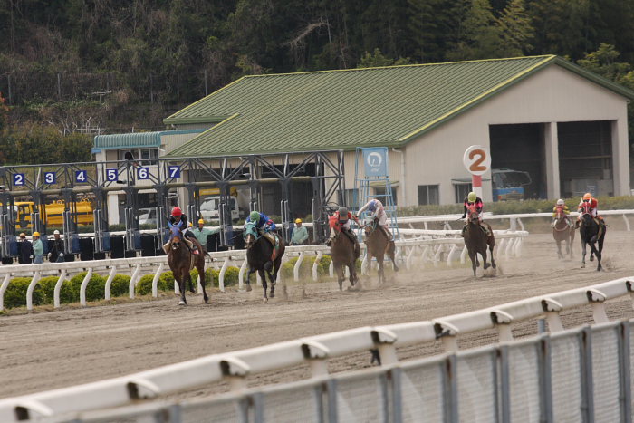 宮川実騎手、生涯騎乗5000回達成！！_a0077663_20183656.jpg