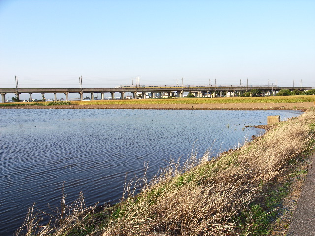 上越新幹線　本庄早稲田駅周辺　田園風景を切り開く_c0153764_19284686.jpg