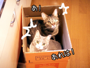 ヒーロー!?_b0083267_14295346.jpg