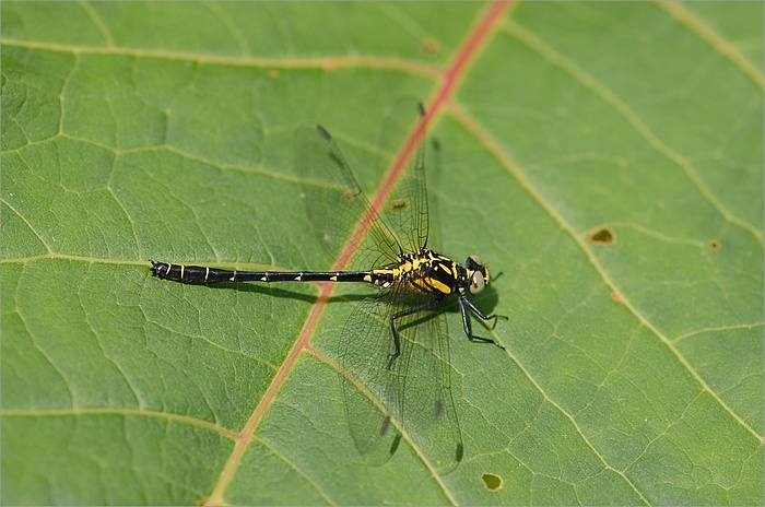 f0088971_2158170.jpg