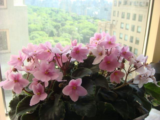 d0100880_23562293.jpg