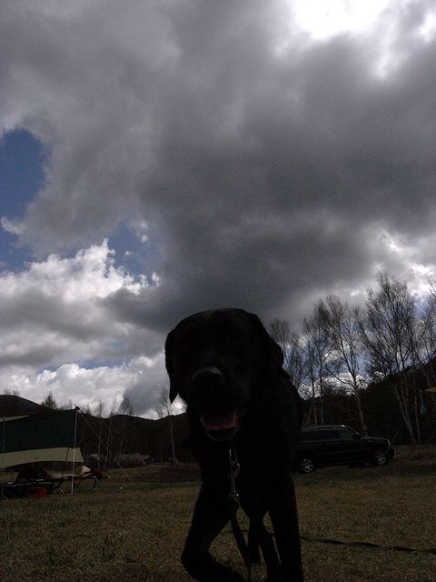 a0093592_085398.jpg