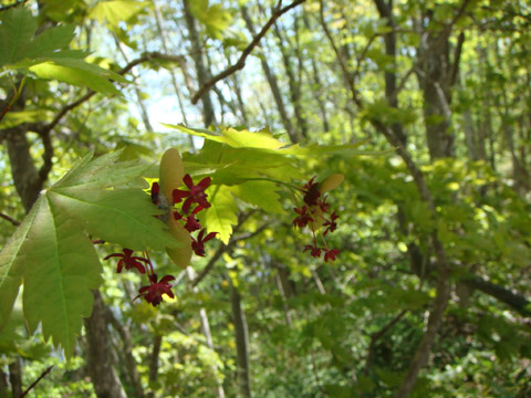 f0146493_03275.jpg