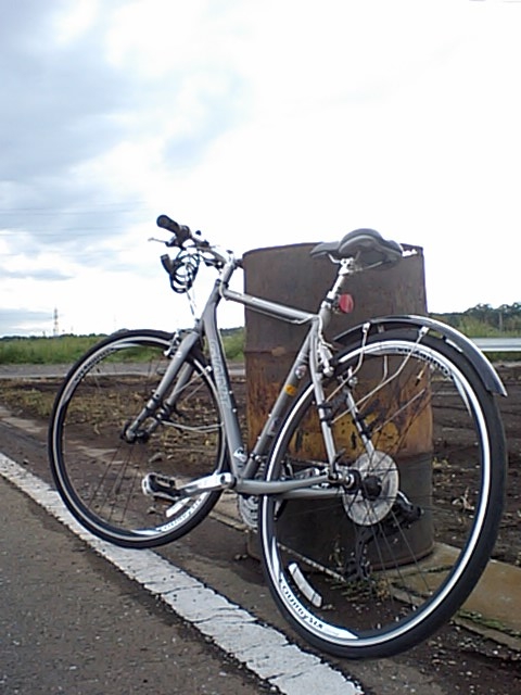 d0081094_1312573.jpg
