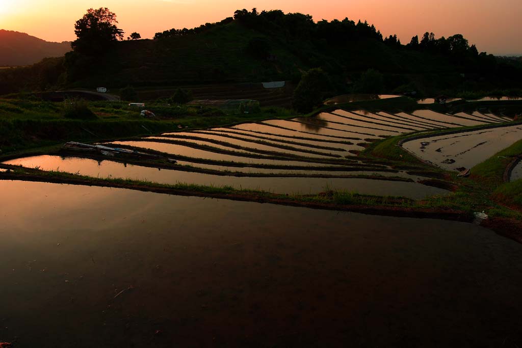 d0085715_08421.jpg