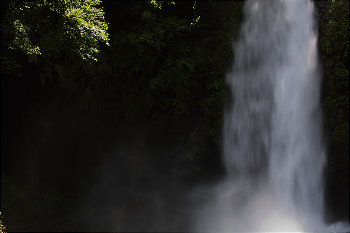 f0014815_12248.jpg