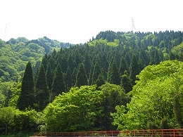 e0002820_20271820.jpg