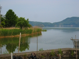 e0002820_20443647.jpg