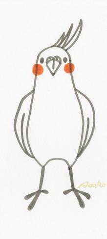 オカメインコの絵 Asako Peaceful Space オカメインコの絵 Asako Peaceful Space