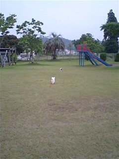 e0079125_2003339.jpg