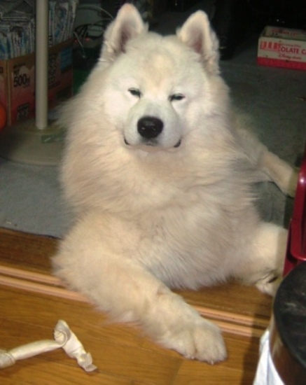 e0024126_20124838.jpg