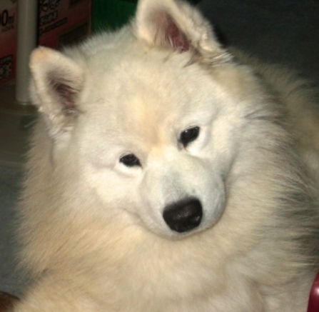 e0024126_2013338.jpg