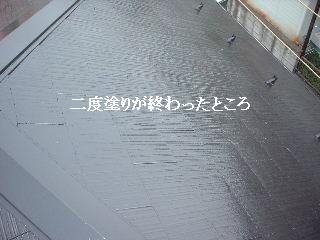 屋根塗装・・最終日_f0031037_193912.jpg