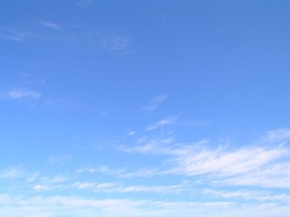 d0065146_0522779.jpg