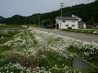 田舎の風景。_c0123748_13325259.jpg