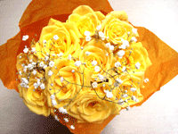 b0046050_1647323.gif