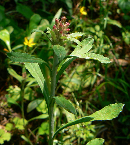 d0091754_1281071.jpg